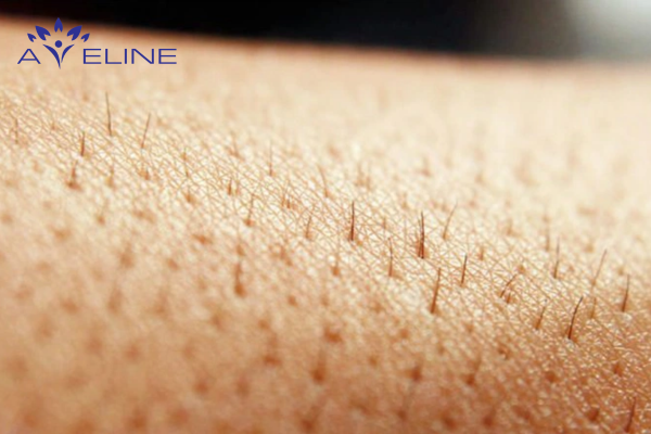 Hair May Grow Back Thicker and Coarser