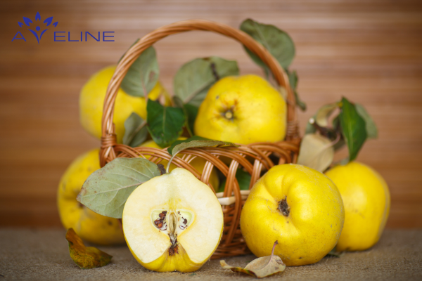 Nutritional value of pears for hair health