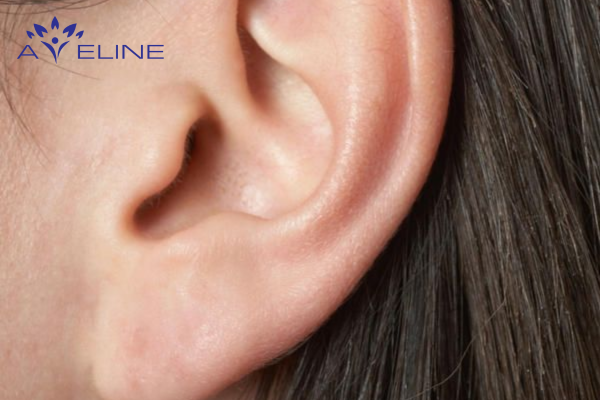 What is ear hair?