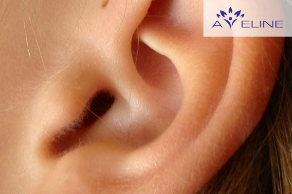 What function does ear hair serve?